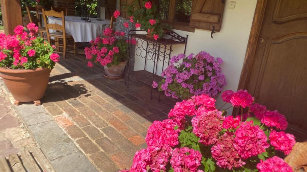Excepcional Casa El Olivo Βίλα Ojedo Εξωτερικό φωτογραφία