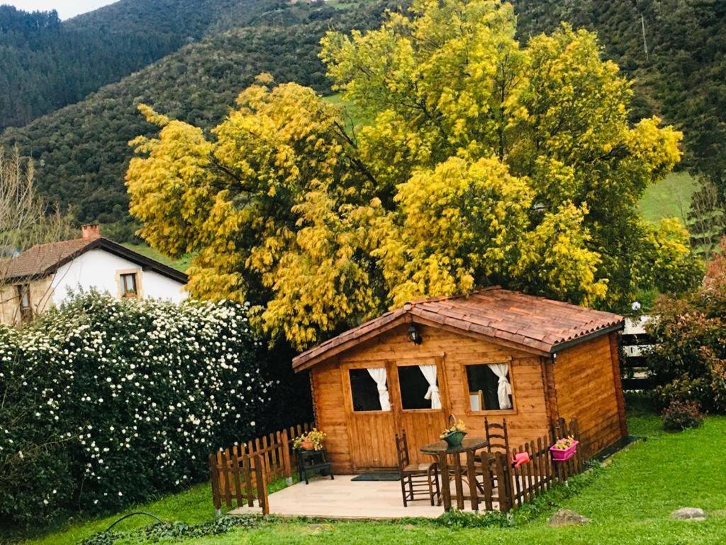 Excepcional Casa El Olivo Βίλα Ojedo Εξωτερικό φωτογραφία